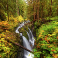 Autumn at Sol Duc