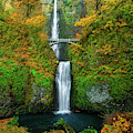 Multnomah Falls Splendor