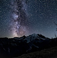 Night Glory